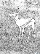 ගාසෙල් මුද්‍රණය කළ හැකි වර්ණ පිටු